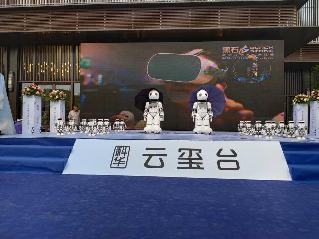 机器人年会服务天团 2020文化用品创意策划方案